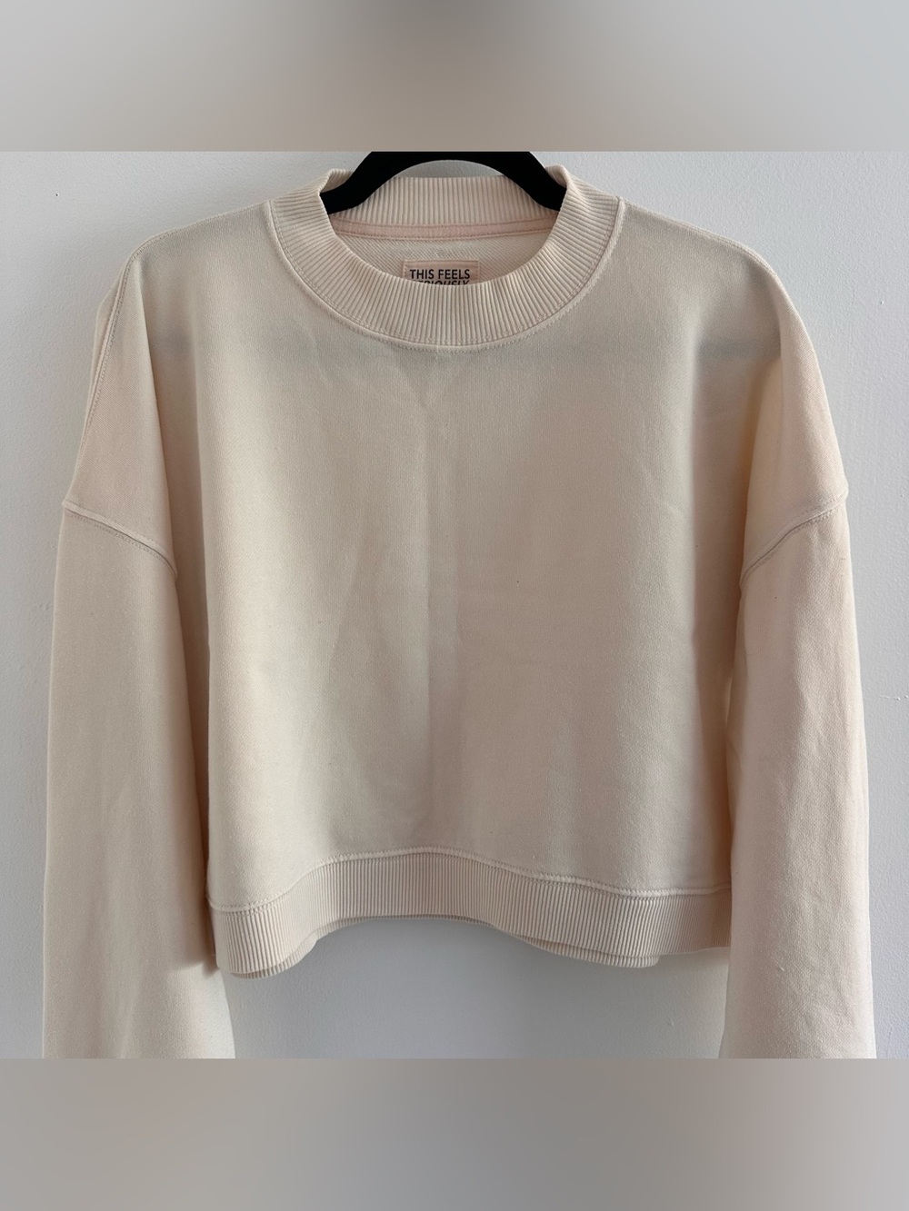 American Eagle Big Hug Cropped Crew Neck Sweatshirt Cappuccino Cream Boxy Medium